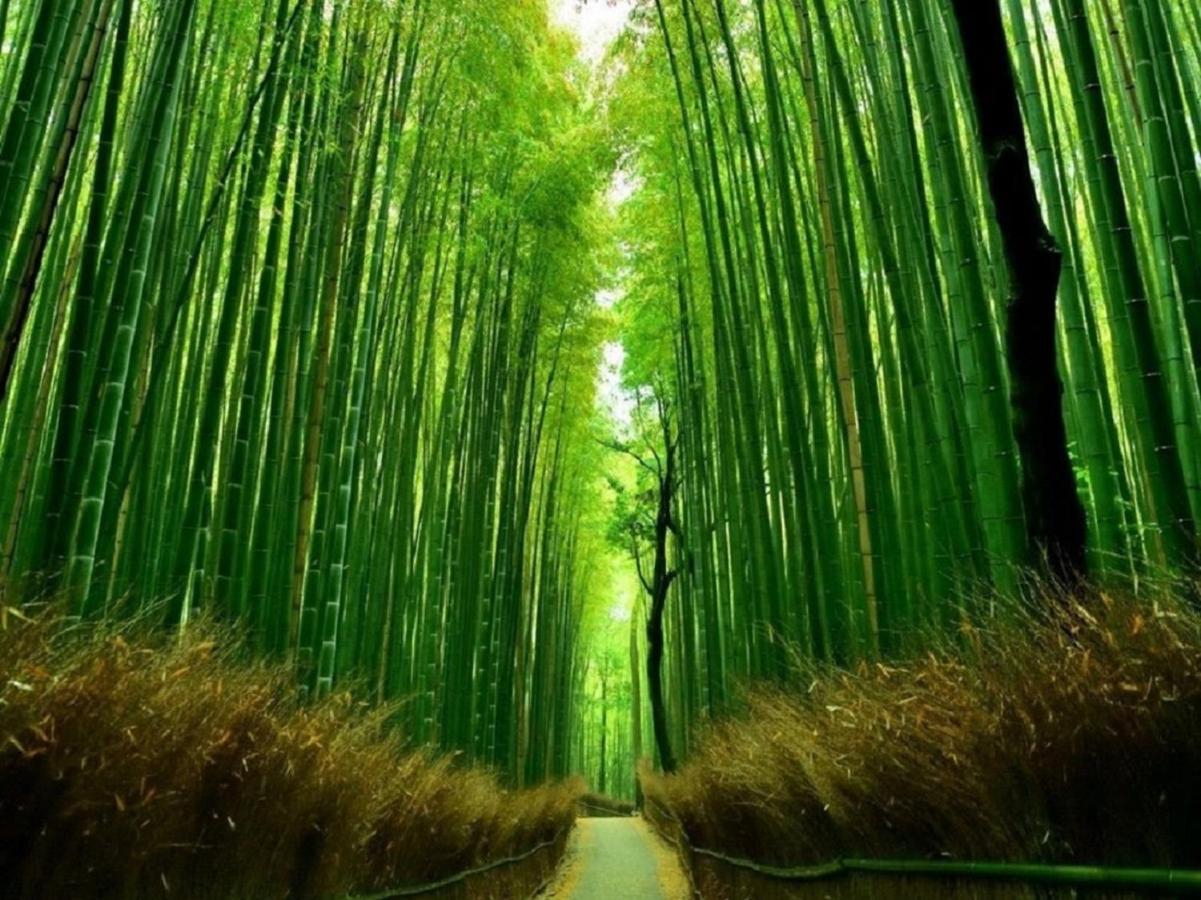 行灯離れ京都五条 Andon Hanare Kyoto Gojo Extérieur photo